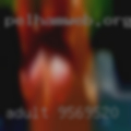 Adult 95695