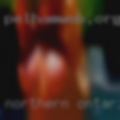 Northern Ontario naked girls